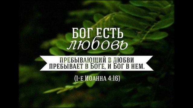 План победы 09 декабря Неемия 13 смотреть онлайн