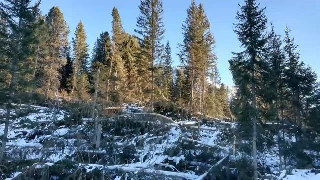 L Alto Adige distrutto da una tempesta смотреть онлайн