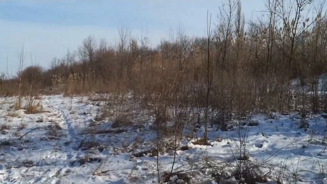 Обход купленного участка в 2016 году смотреть онлайн