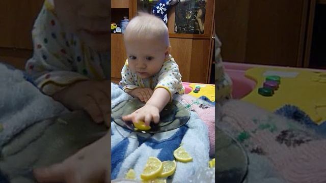 любитель лимонов смотреть онлайн