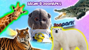 🐅🐯Басик в зоопарке/ ЗООПАРК В САНКТ-ПЕТЕРБУРГЕ #басик #басики