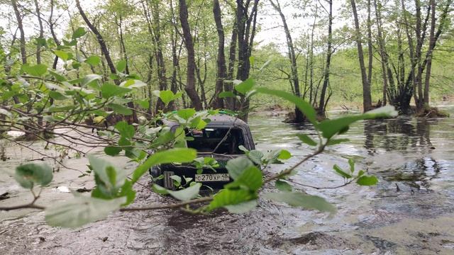 VID_20240518_161346 смотреть онлайн
