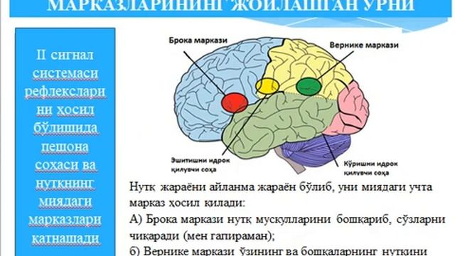 I ва II сигнал системалари смотреть онлайн
