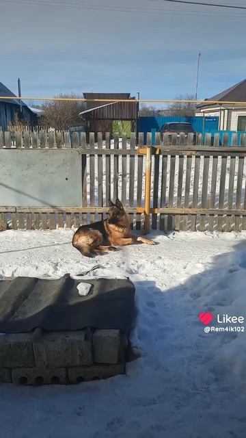 Всем прекрасного начала дня смотреть онлайн