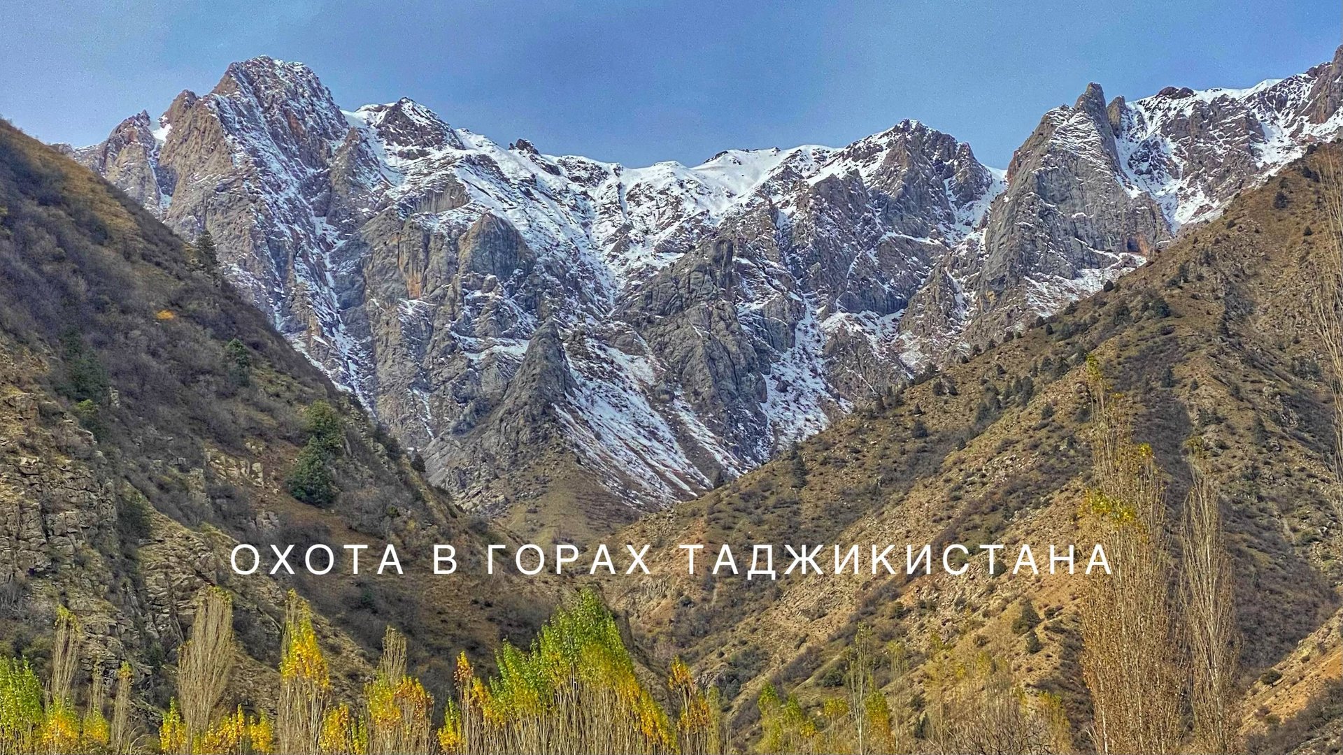 Ночная охота на кабана в горах Таджикистана смотреть онлайн