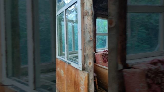 VID_20240611_182516 смотреть онлайн