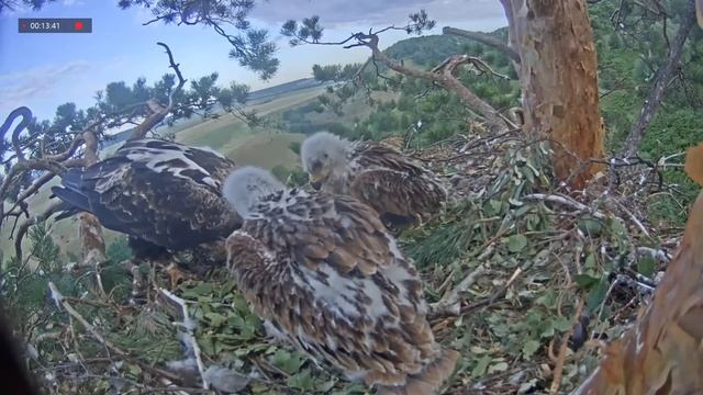 03.07.2021 4:49 Утро в гнезде Солнечного Орла смотреть онлайн