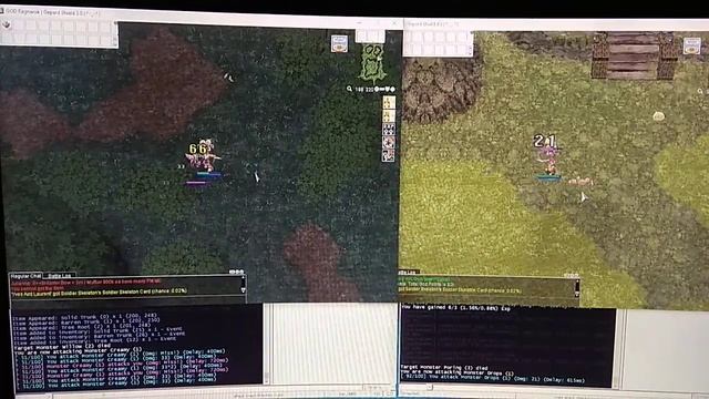 OpK Gepard 3.0 (GODRagnarok) xkore1 mode смотреть онлайн