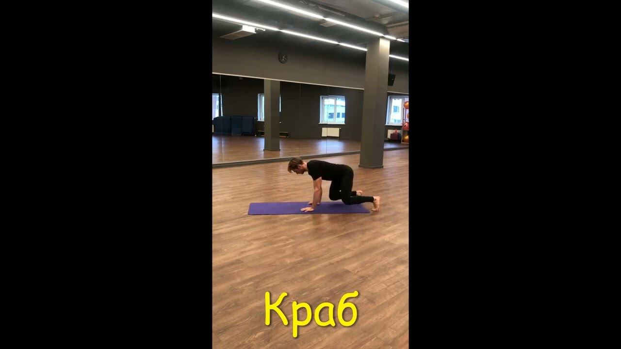 Animal Flow
