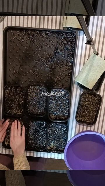 Сажаем семечки подсолнечника🌻 #microgreens #garden #plants#gardening #микрозелень смотреть онлайн