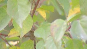 2015_10_20_Лотенков про подготовку к зиме-2