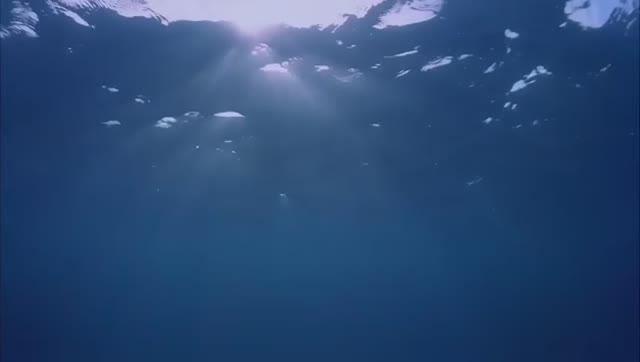 Пение Китов Звуки для Сна