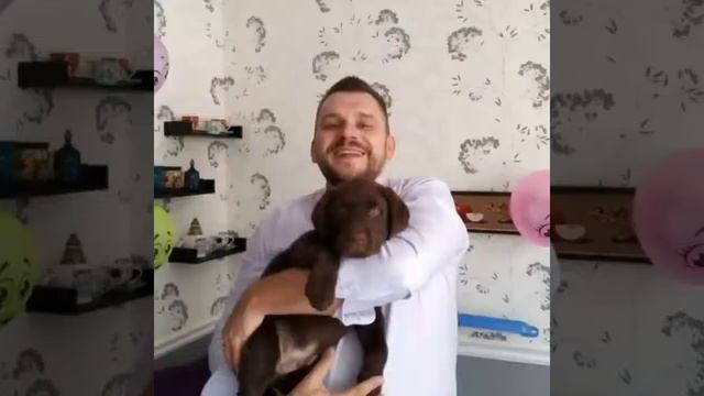 мои щенята(моей подруги) смотреть онлайн