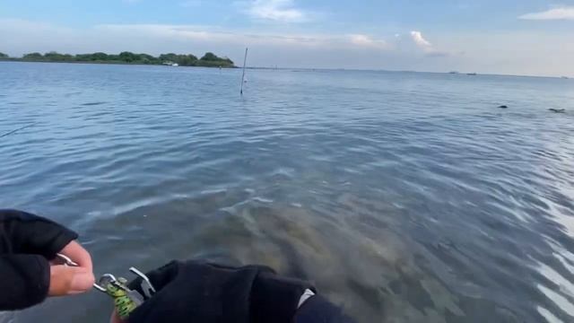 SPOT CASTING GRATISAN ‼️ SPOT HEMAT BIAYA | Dapat Lauk Ikan Istimewa_PANTAI MARINA SEMARANG смотреть онлайн