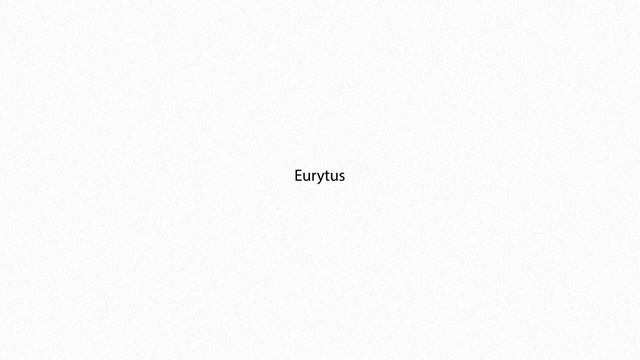 Eurytus PRONUNCIATION смотреть онлайн