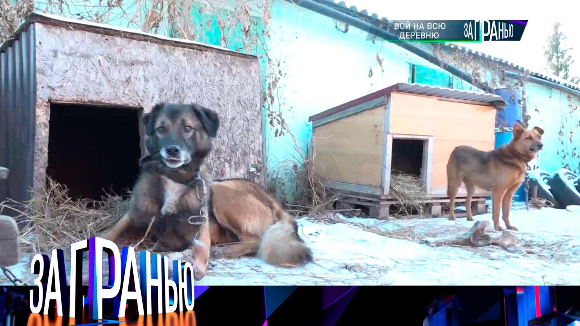 За гранью: Вой на всю деревню | Выпуск от 12 февраля 2025 года