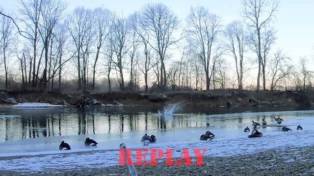 Goose Hunting the River 2 смотреть онлайн
