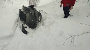 На Тайге Атаке и Варяге по лесу 2025