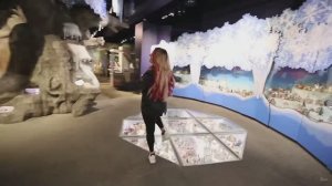 Самая большая коллекция MINI в мире