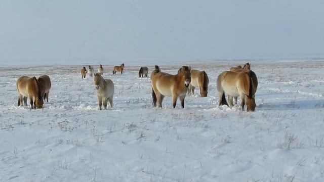 Милаш смотреть онлайн