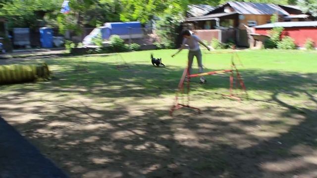 Юля и Дарси 21.05.14, часть 2 смотреть онлайн