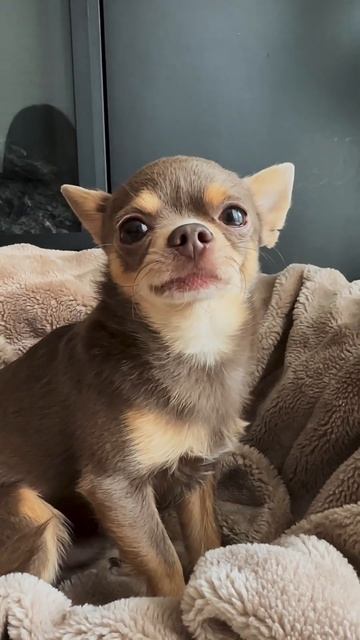 Колыбельная от Лёнчика. Всем доброй ночи 😘 смотреть онлайн