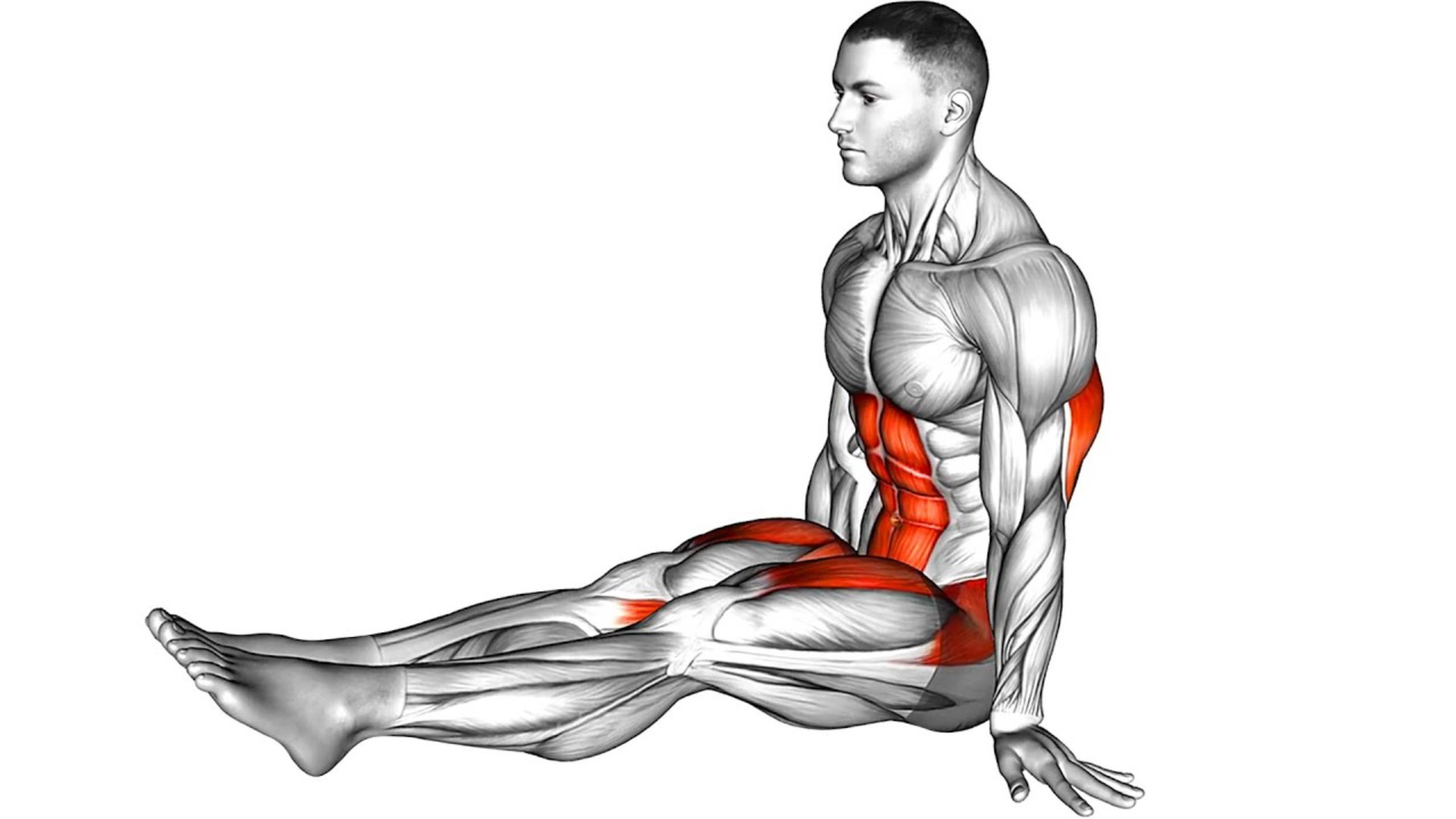 Тренировка всего тела (без оборудования!) смотреть онлайн