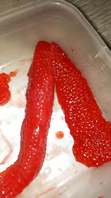 икра красная смотреть онлайн