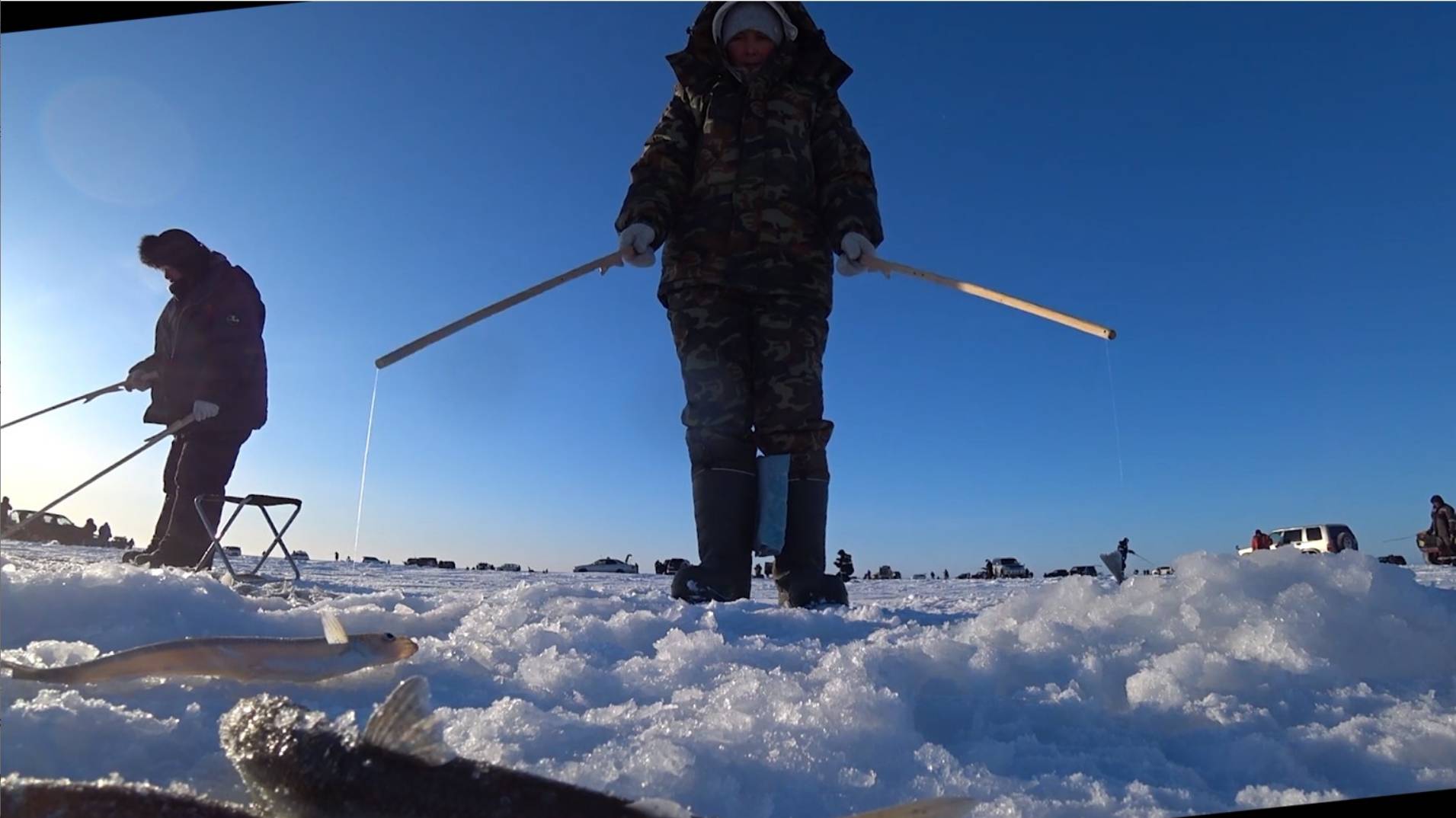 Рыбаков тьма, ловят ВСЕ.. Жор зубаря.. смотреть онлайн