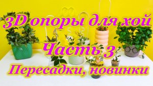 3D Опоры для хой.Пересадки,Новинки.Часть 3.