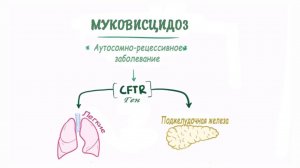 Муковисцидоз - причины, симптомы, диагностика, лечение и патология.