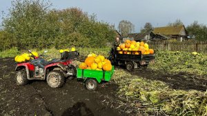 Сибирь. Осенний сбор урожая. Охота на уток с собакой.