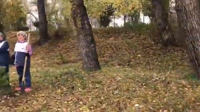 Аллея Долголетия смотреть онлайн