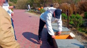 Есть ли пчеловодство в пустыне ОАЭ