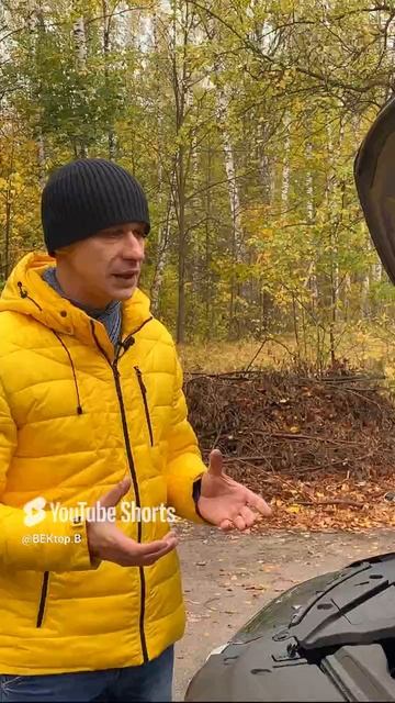 Джили кулрей. Минус двигателя. #geely #авто #джили #geelycoolray #kia #вектор смотреть онлайн