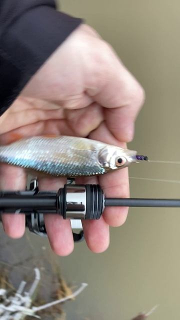 Зимний мормышинг на канаве смотреть онлайн