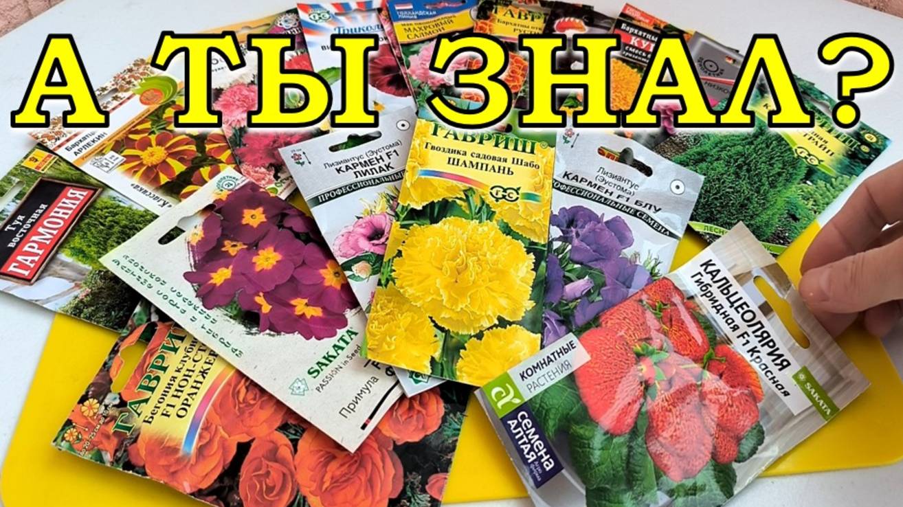 Эти цветы сеем на рассаду в ФЕВРАЛЕ🌸🌸🌸 смотреть онлайн