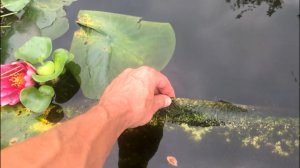 Пруд из рекламных баннеров можно строить из личного опыта