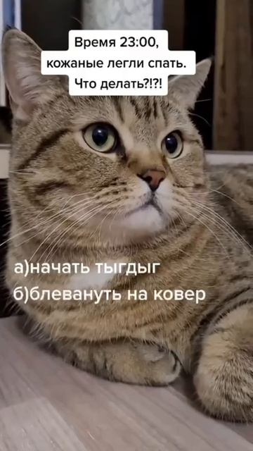 Полуночный выбор смотреть онлайн