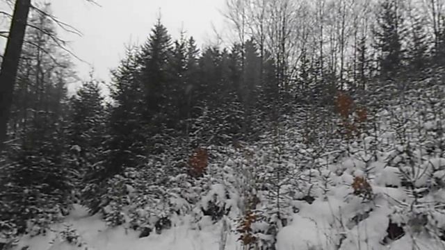 Poslouchání hejno ptáků смотреть онлайн