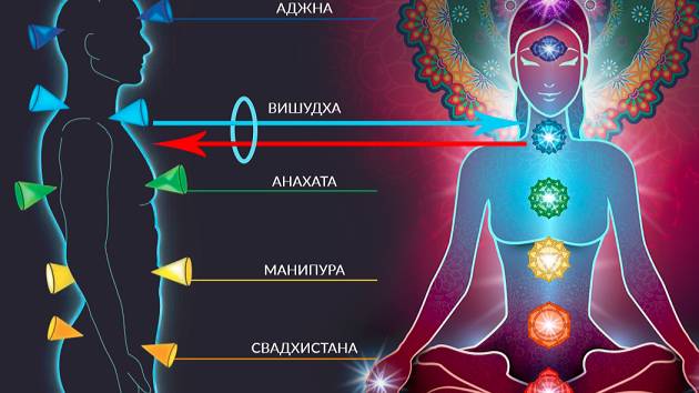 ТЕОРЕТИЧЕСКИЕ ОСНОВЫ ЧАКРАЛЬНОЙ СИСТЕМЫ. Мастер-учитель Рейки усуи Светлана Фролова
