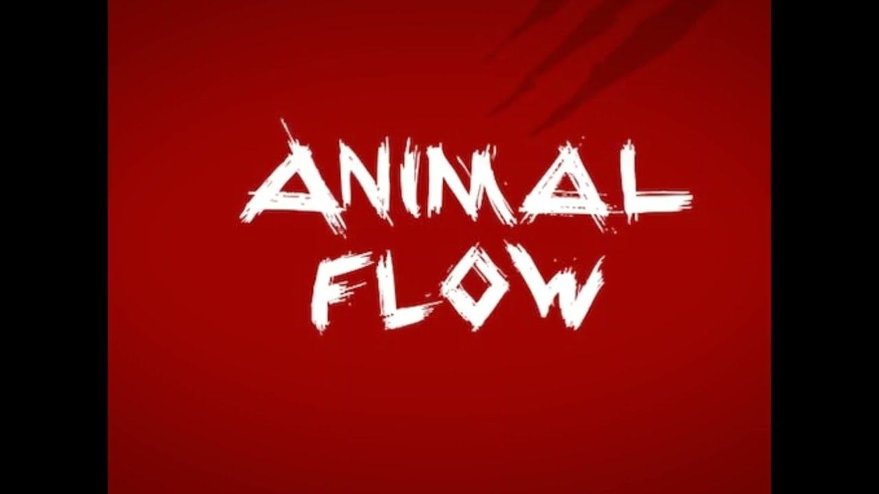 Animal Flow
