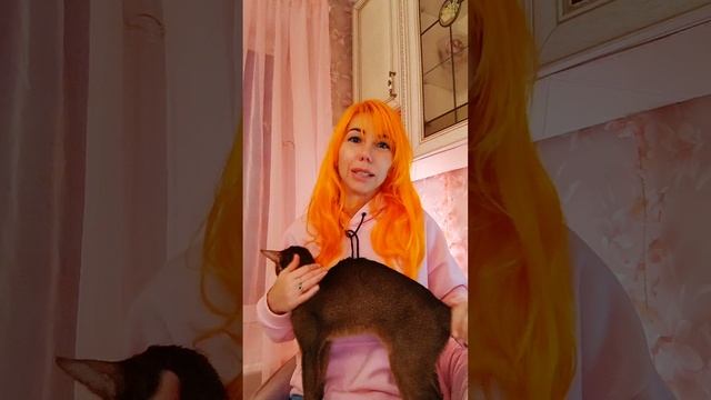 💓Мир розового света💓