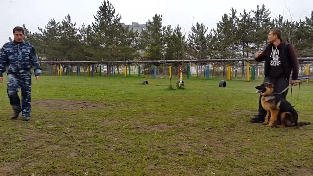 20160412 081657 смотреть онлайн