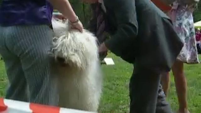 Кобели. Класс юниоров смотреть онлайн