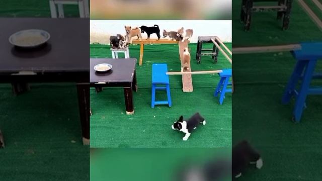 Кто умнее тот поел!!!