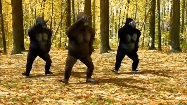 1 Hour Gorilla Dancing