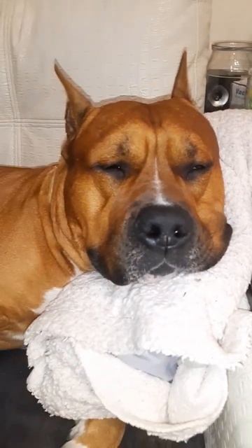 кейф смотреть онлайн