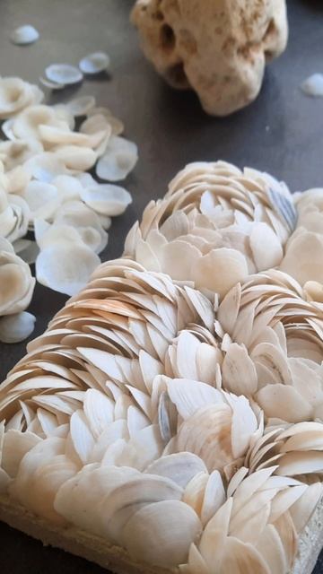 Анонс мастер-класса по мозаике из природных материалов на 15 февраля 2025 года 🔥👍🐚