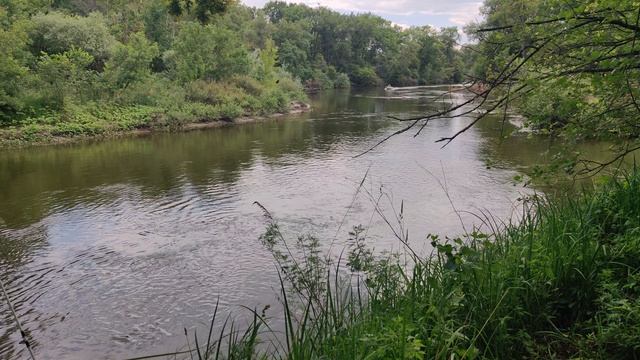 VID_20240611_140614 смотреть онлайн
